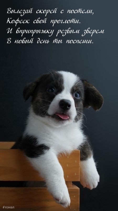 С добрым утром