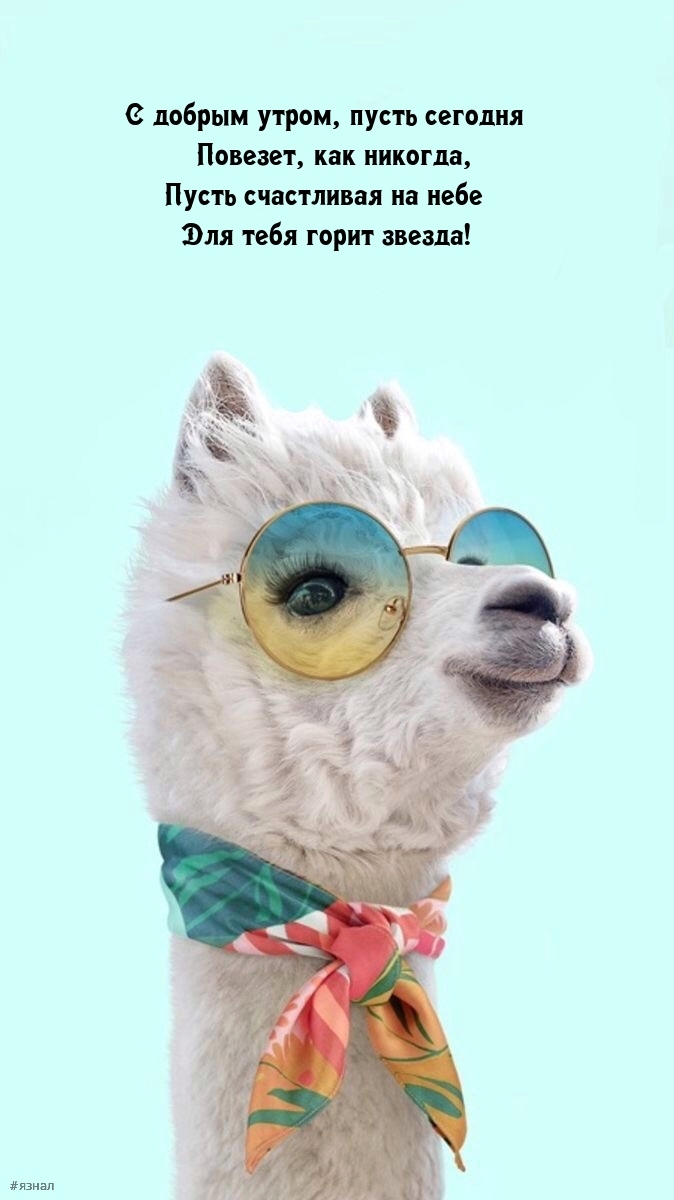 С добрым утром