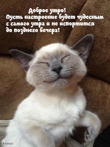 С добрым утром