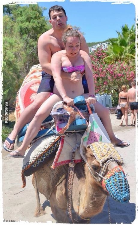 Прикольные фото