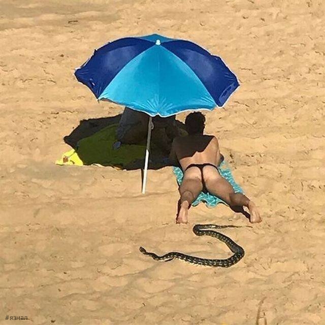 Прикольные фото