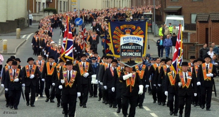 История моркови