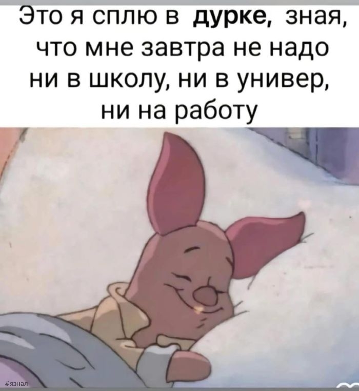 Приколы