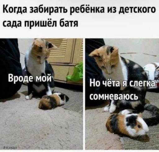 Приколы