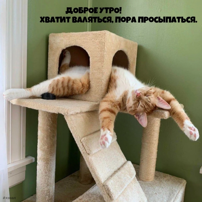 С добрым утром