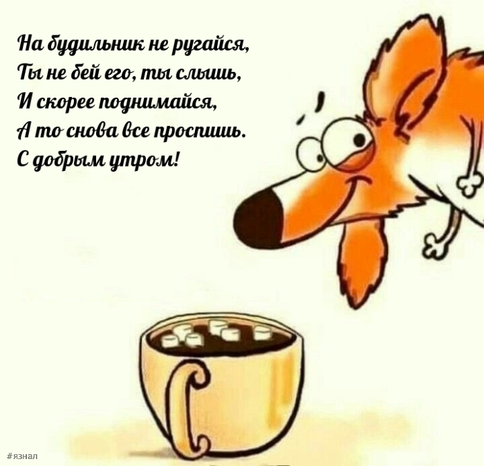 Доброе утро