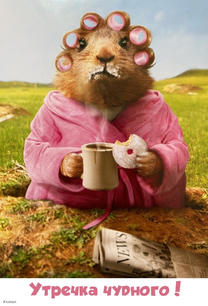 С добрым утром