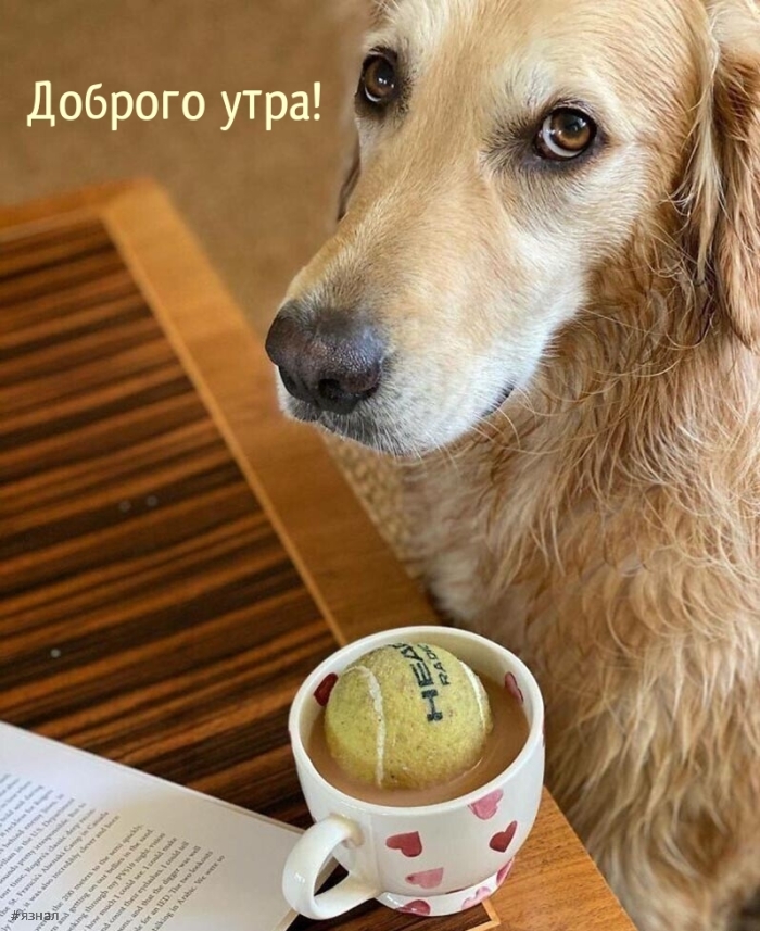 С добрым утром