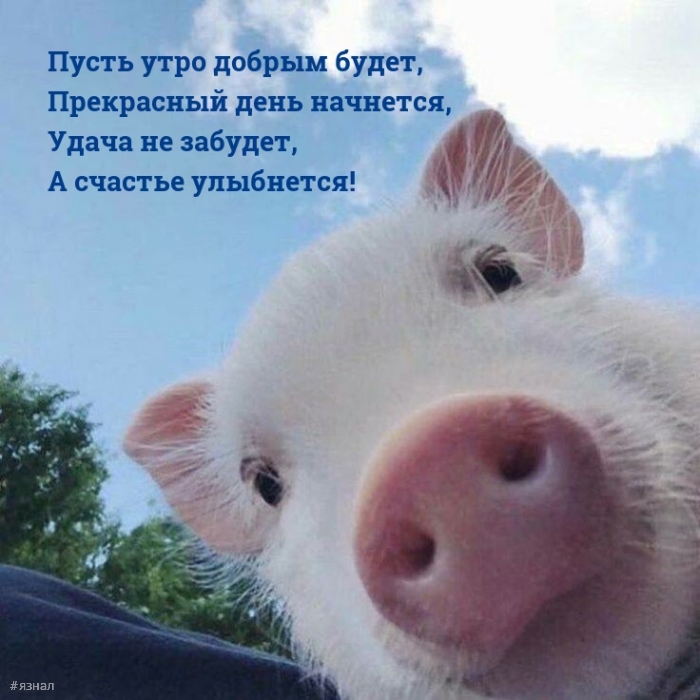 С добрым утром