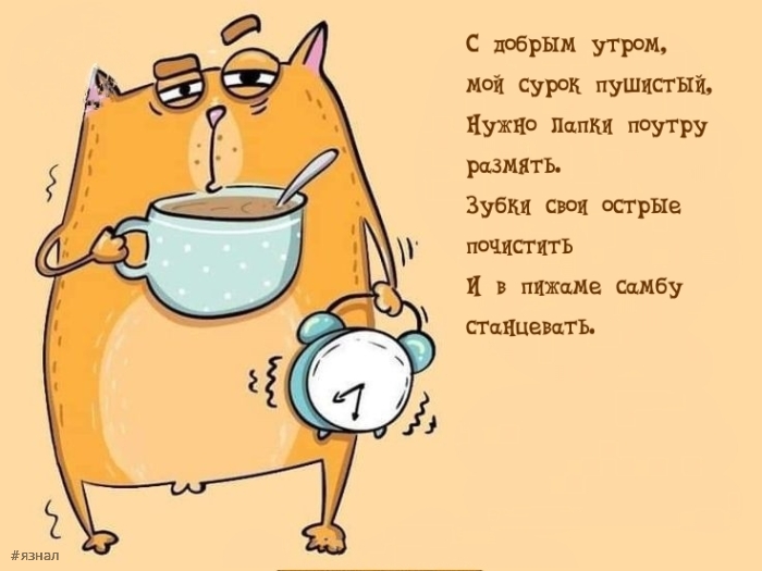 С добрым утром