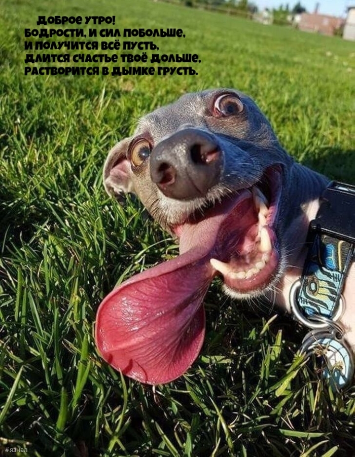 С добрым утром