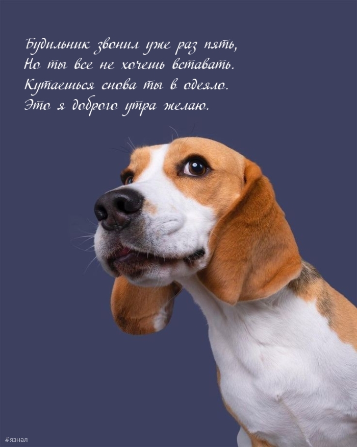 С добрым утром