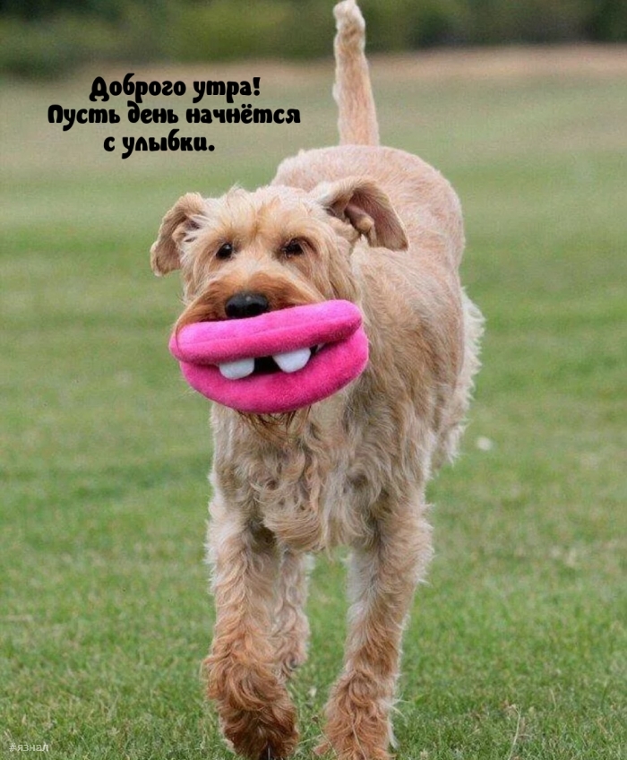 С добрым утром