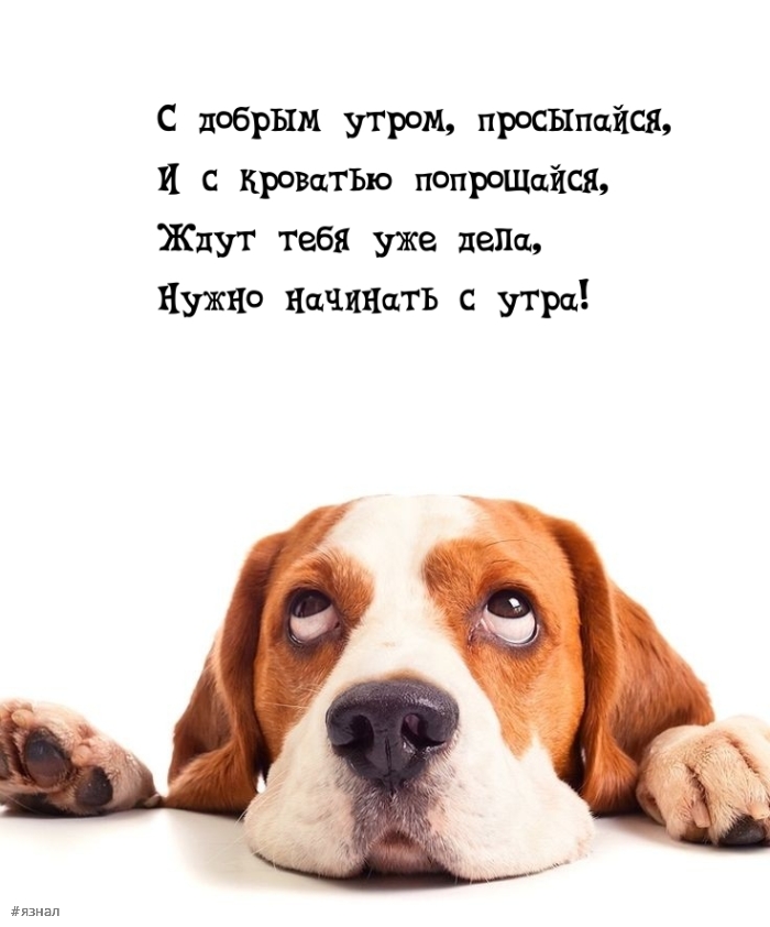 С добрым утром