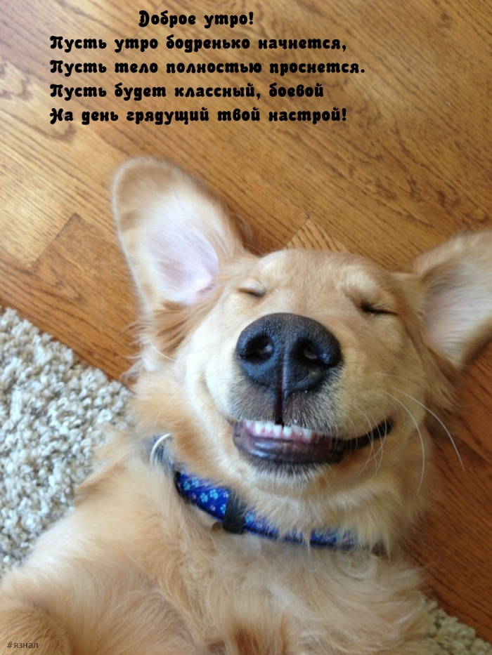 С добрым утром