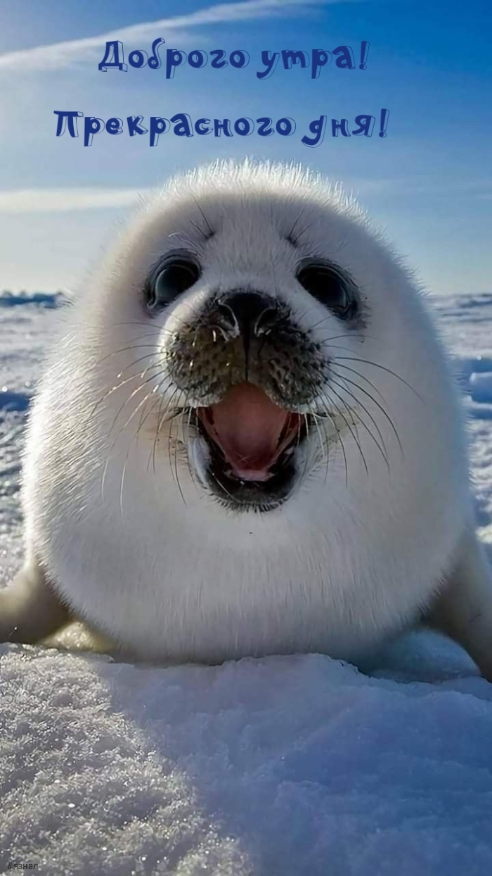 С добрым утром
