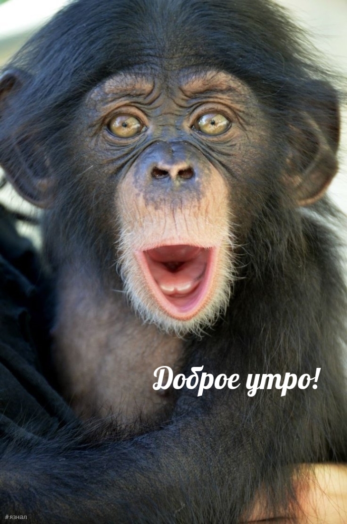 С добрым утром