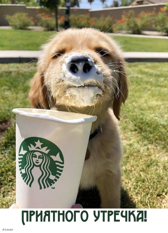 С добрым утром