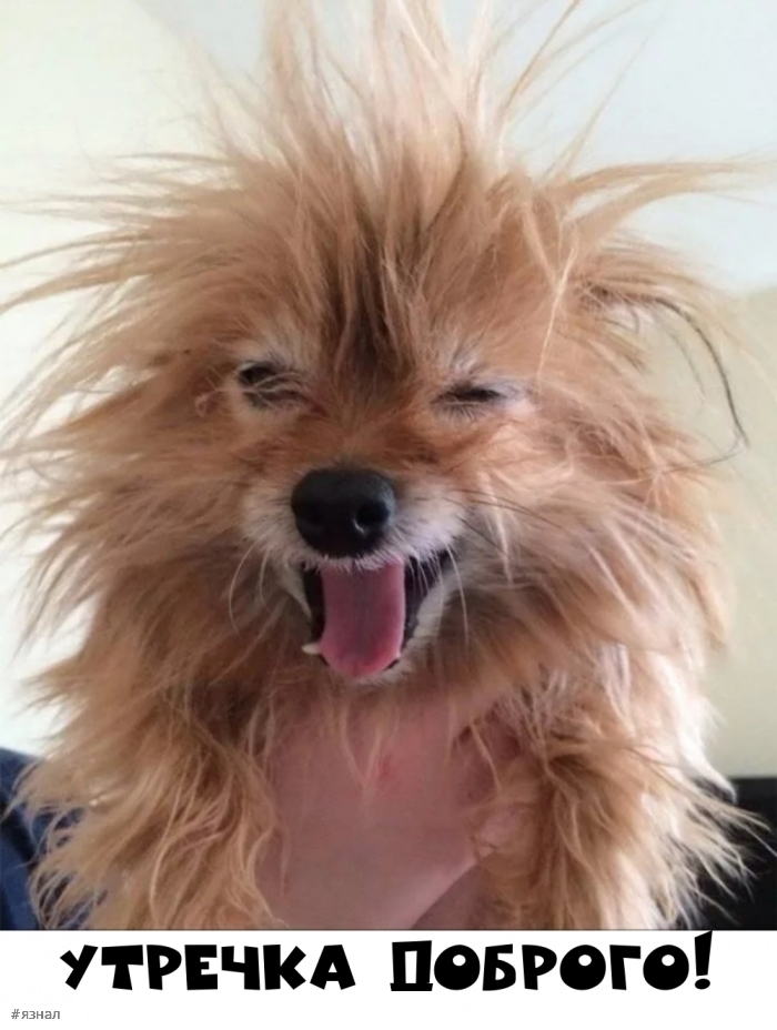 Доброе утро