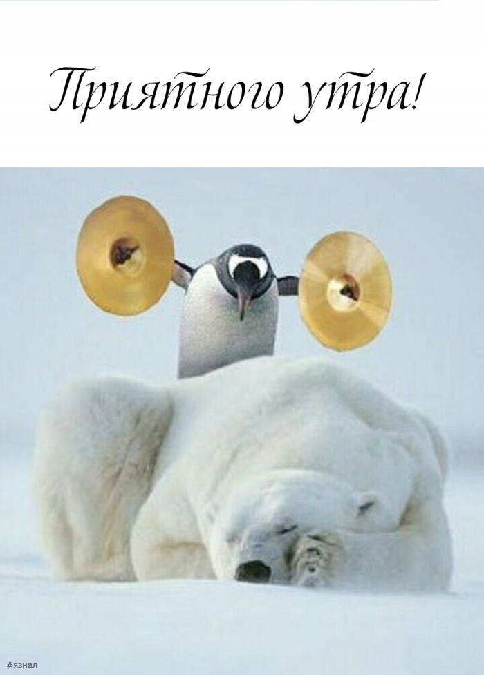 Доброе утро