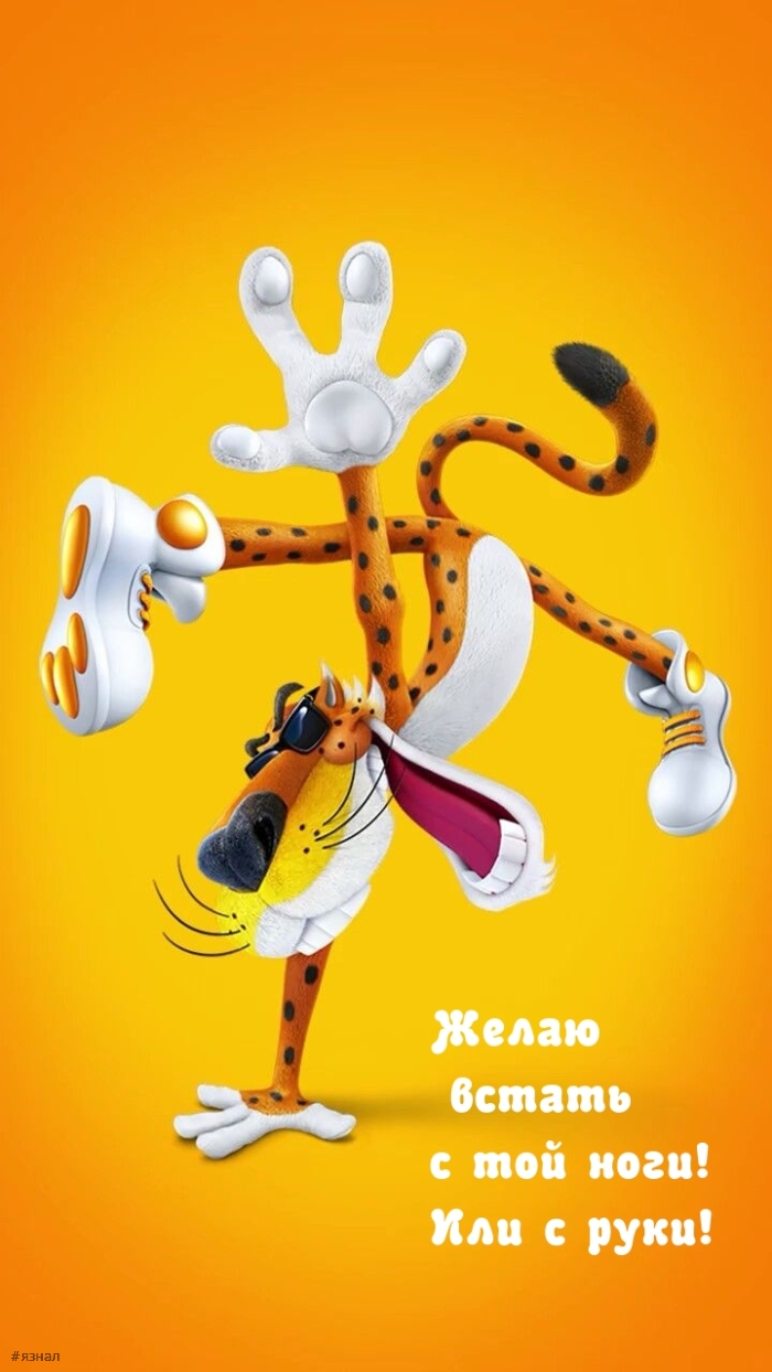 Доброе утро