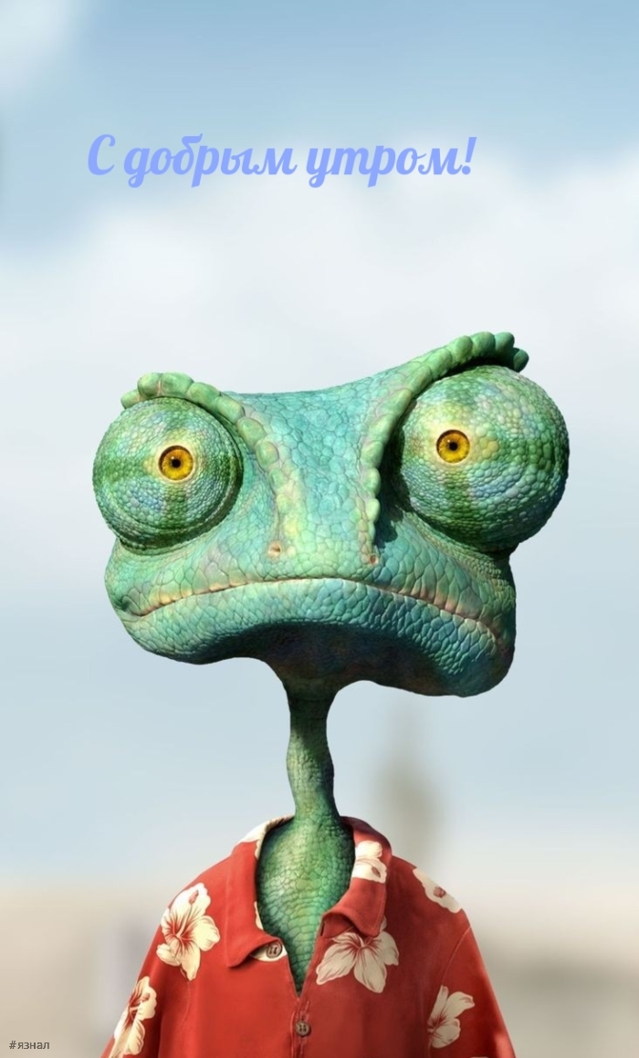 Доброе утро