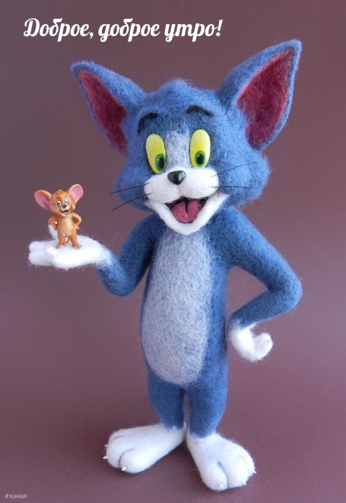 Доброе утро