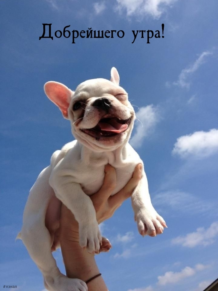 Доброе утро