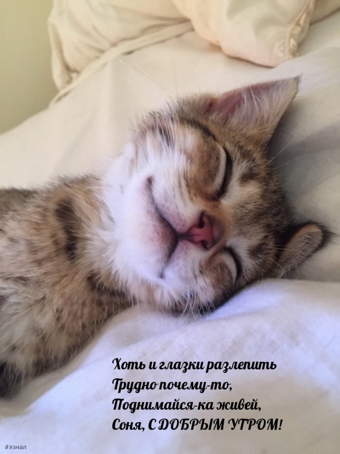 Доброе утро