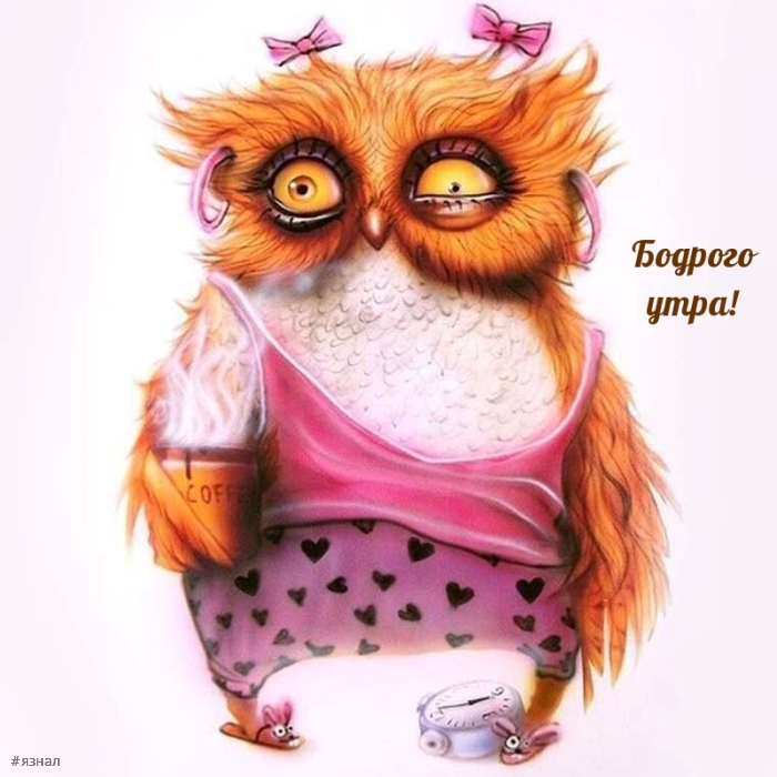 Доброе утро