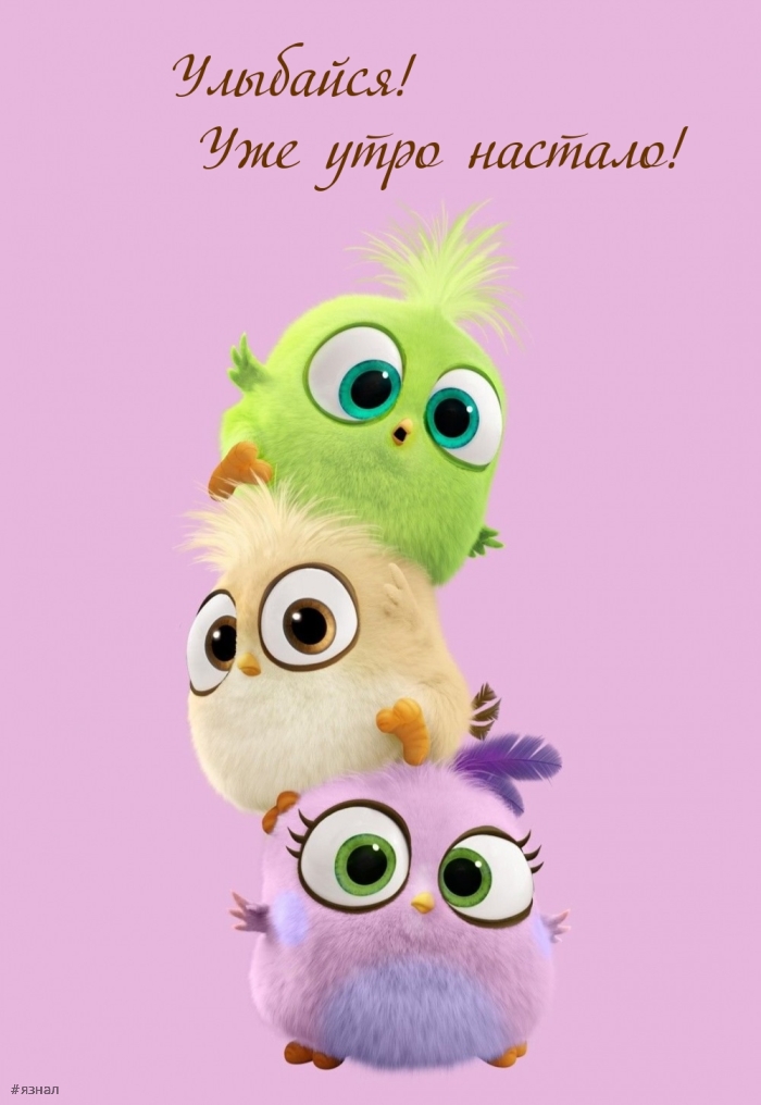 Доброе утро