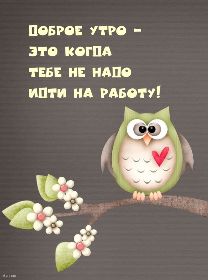 Доброе утро