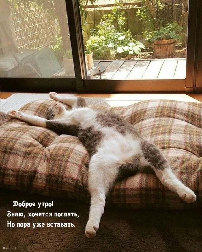 Доброе утро