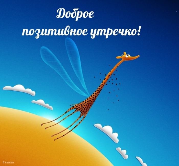 Доброе утро