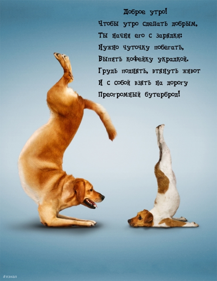 Доброе утро