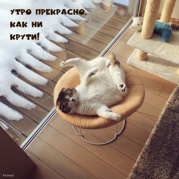 Доброе утро