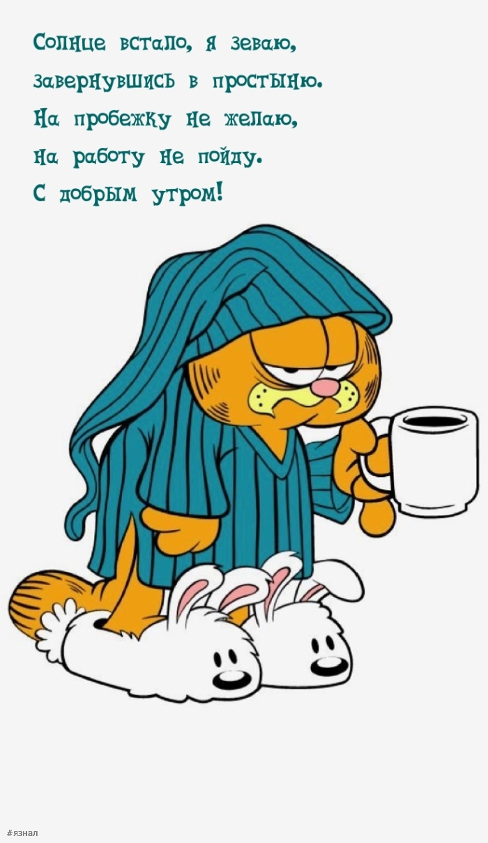 Доброе утро