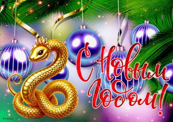С новым годом змеи 2025