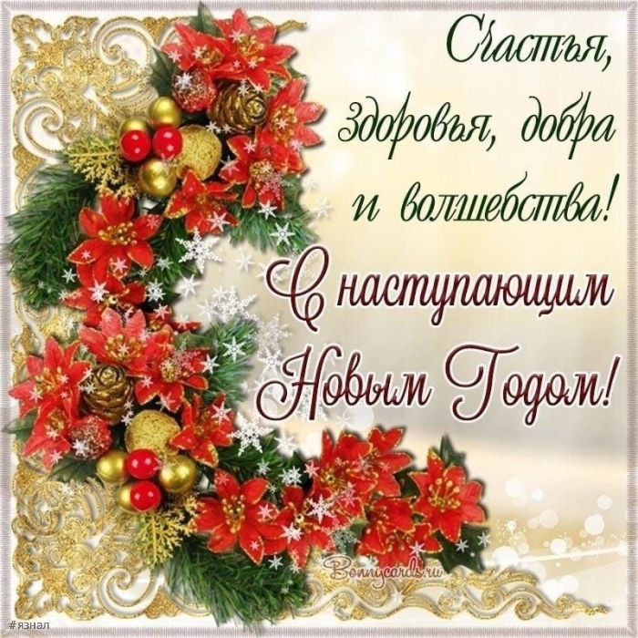 С новым годом змеи 2025