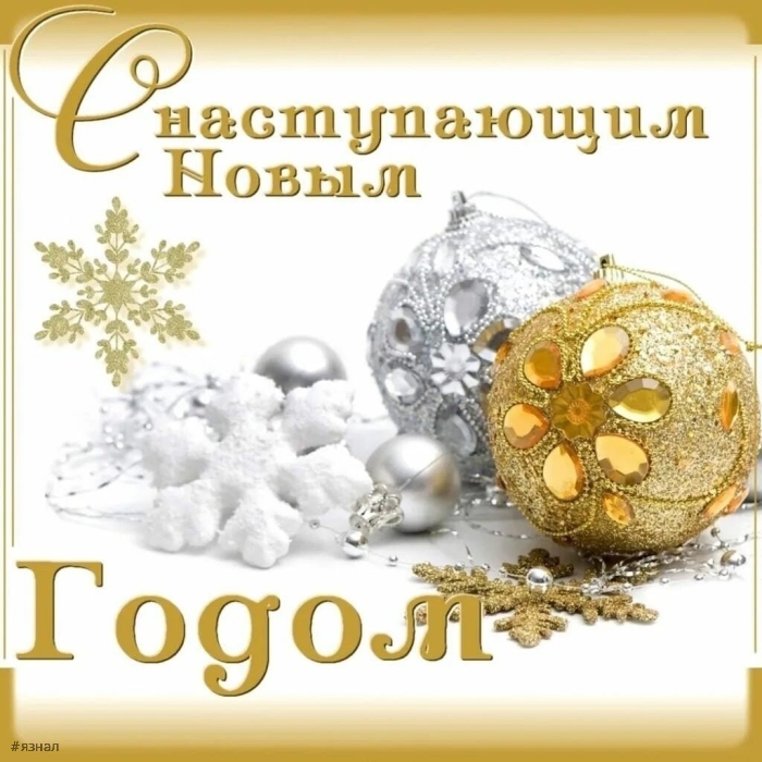 С новым годом змеи 2025