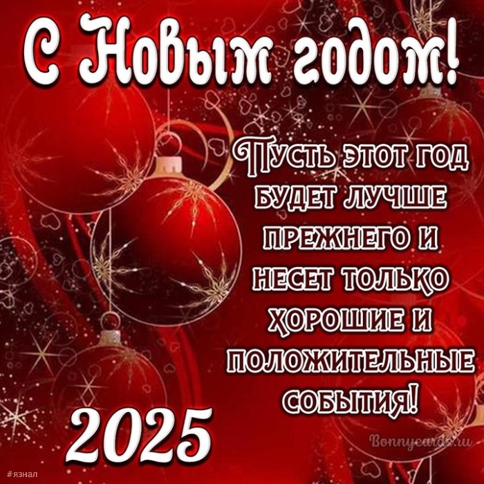 С новым годом змеи 2025