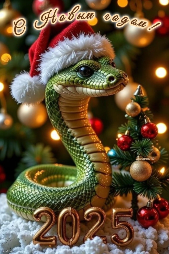 С новым годом змеи 2025