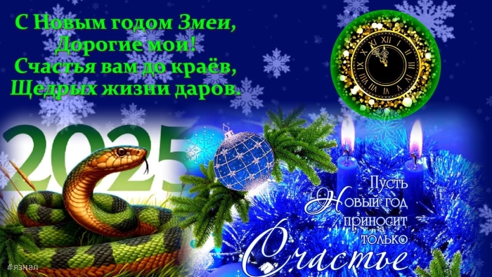 С новым годом змеи 2025