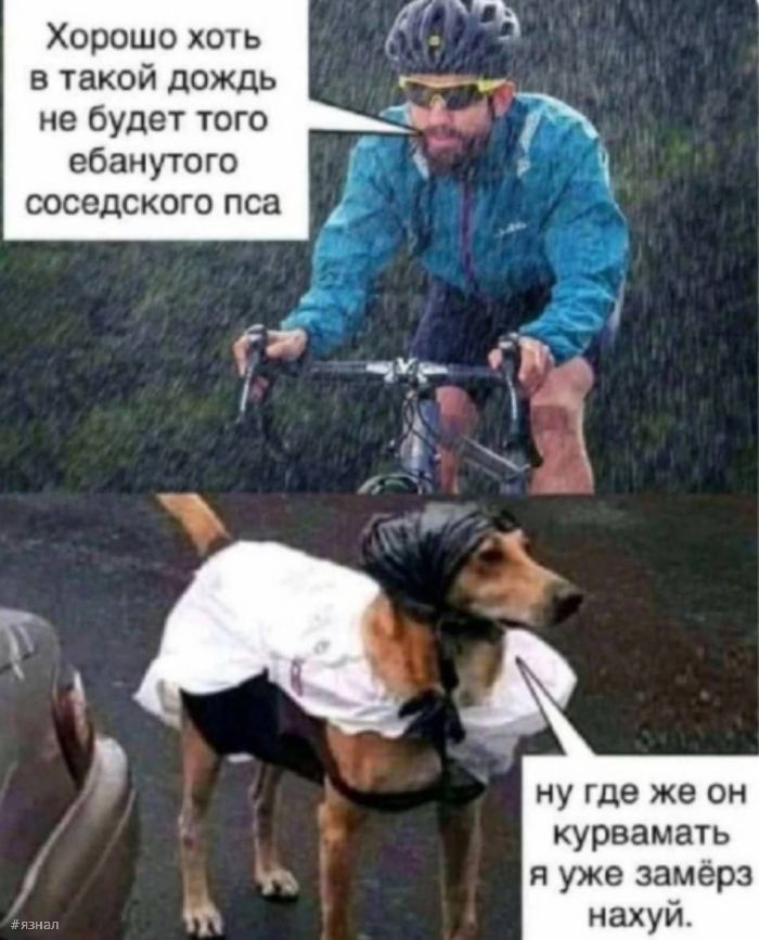 Приколы