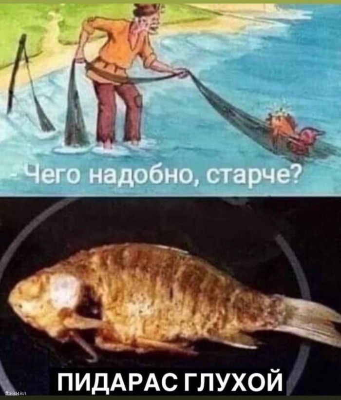Приколы