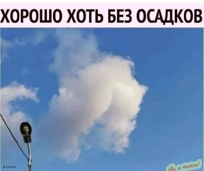 Пошлые приколы