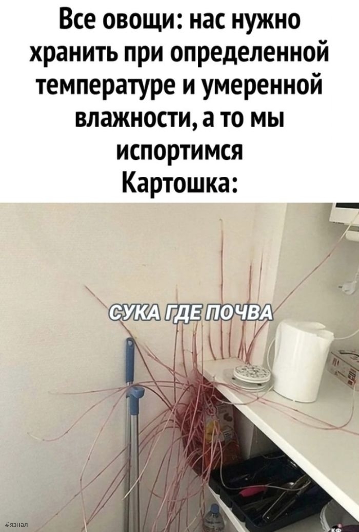 Пошлые приколы