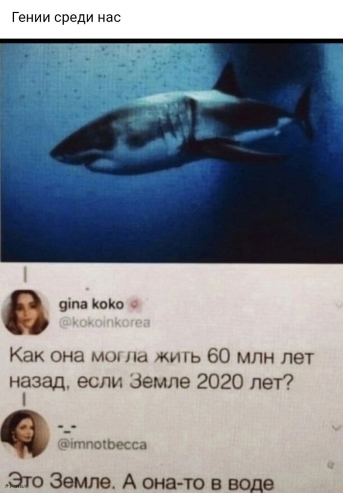 Пошлые приколы