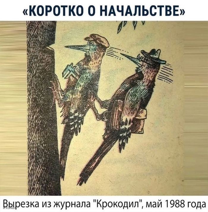 Приколы