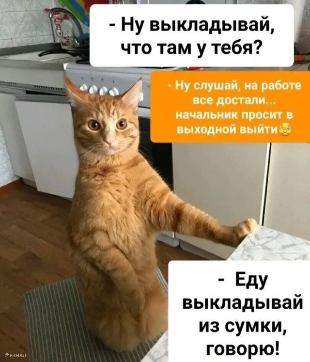 Приколы
